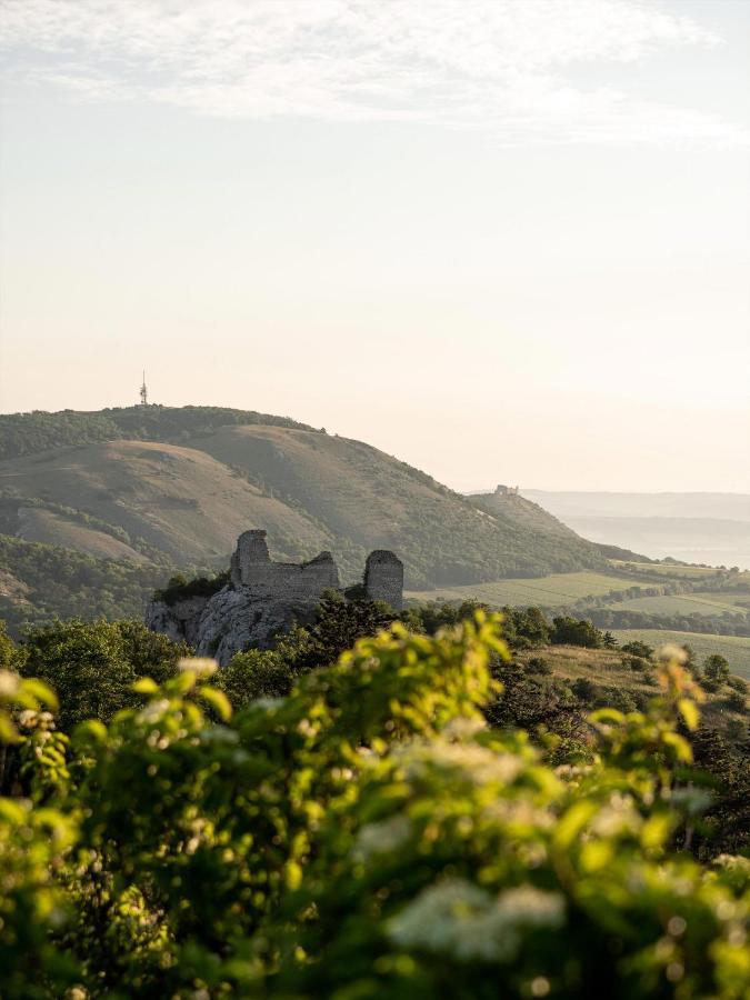 Marinada Vinicni Dum Bed & Breakfast Pavlov Exterior foto
